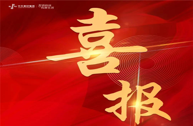 3003新葡的京美好集团蝉联“2021长三角城市群房地产公司品牌价值TOP10”